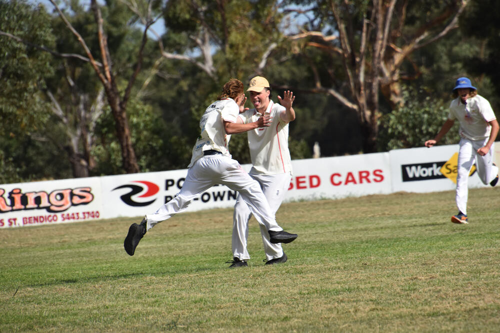 Bulls in key victory - feature photo