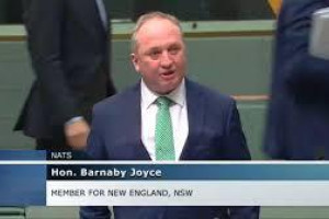 Webster on Barnaby return - feature photo