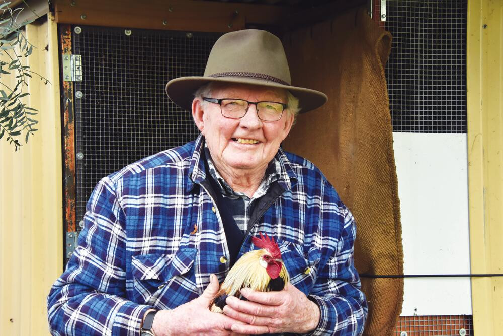 Peter's chicken run - feature photo