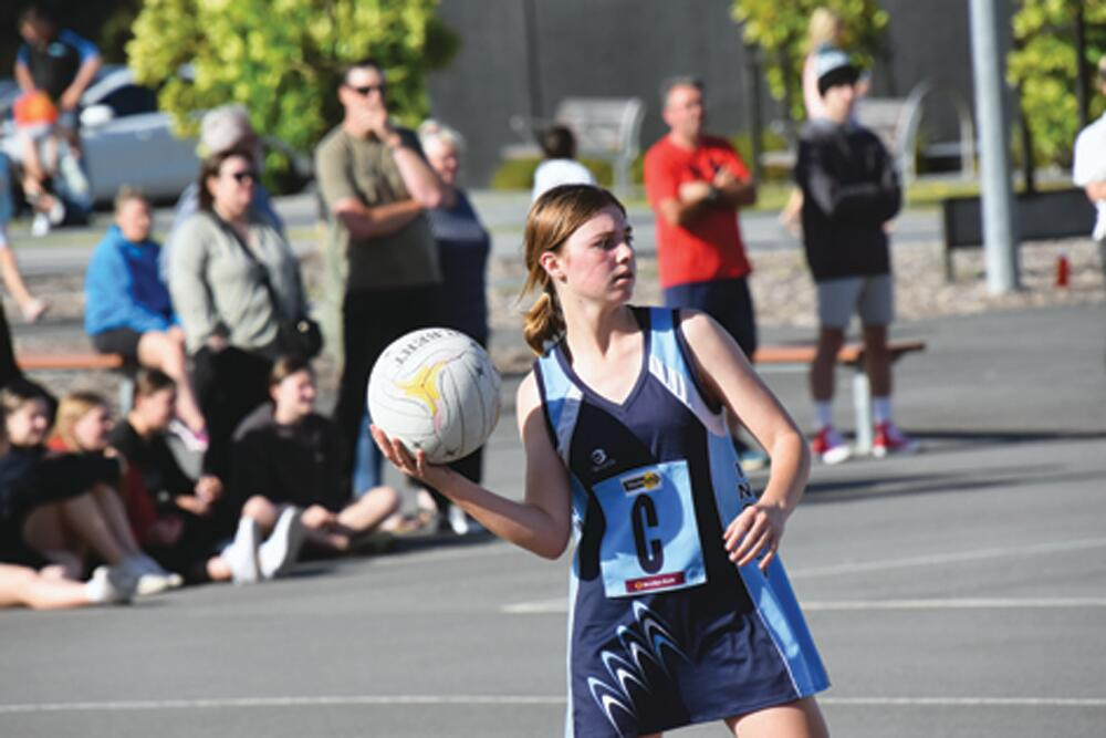 Woodies are champions - feature photo