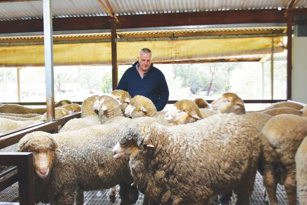 Biggest show beckons - feature photo