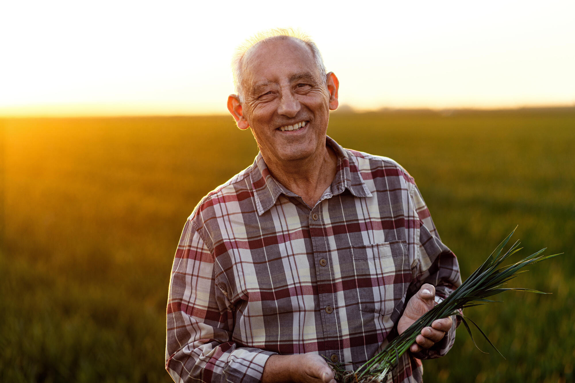 Rural counselling funds secured - feature photo