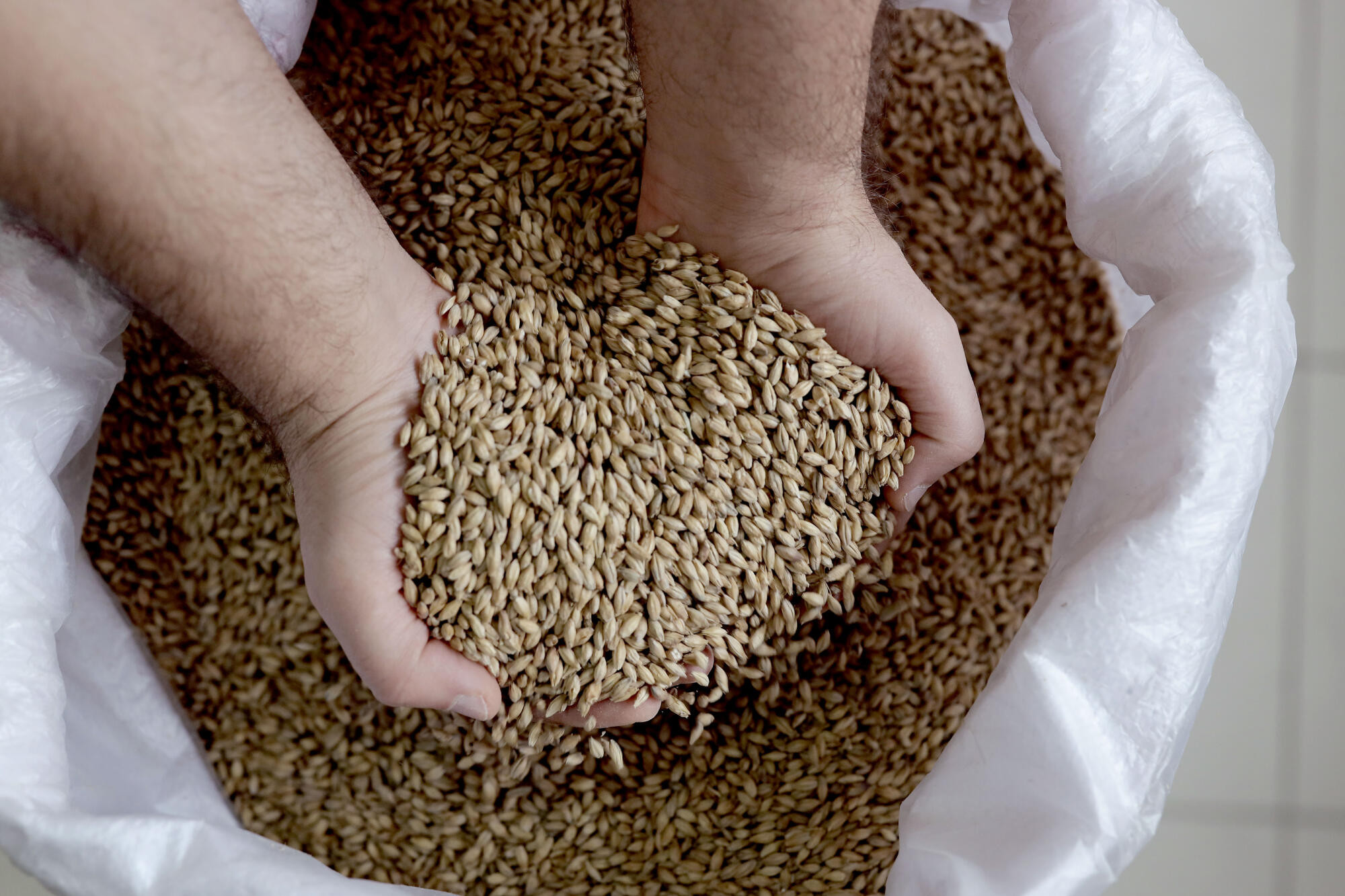 Monitor grain in storage - feature photo