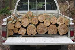 Firewood collection call - feature photo