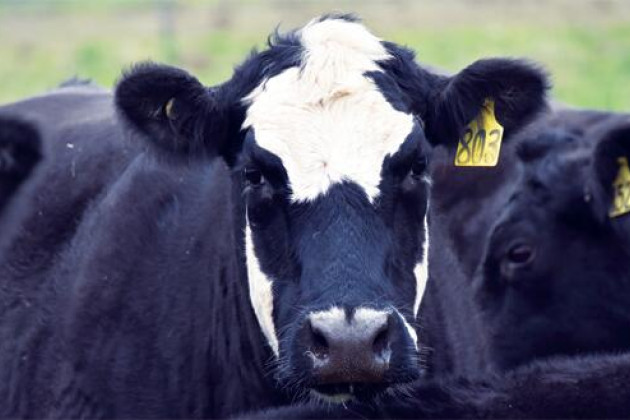 Rural enterprise confidence - feature photo