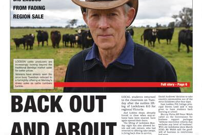 Axe falls on cattle - feature photo