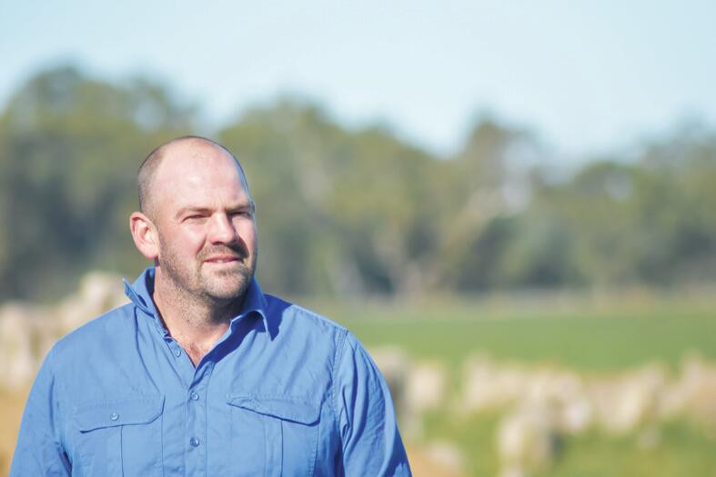 Lambing season starts - feature photo