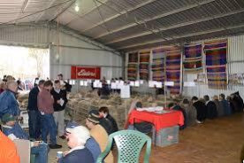 Merino field day date set - feature photo