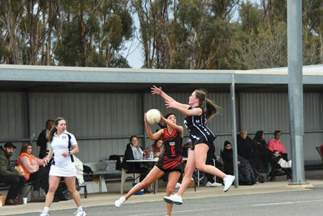 Redbacks pushed - feature photo