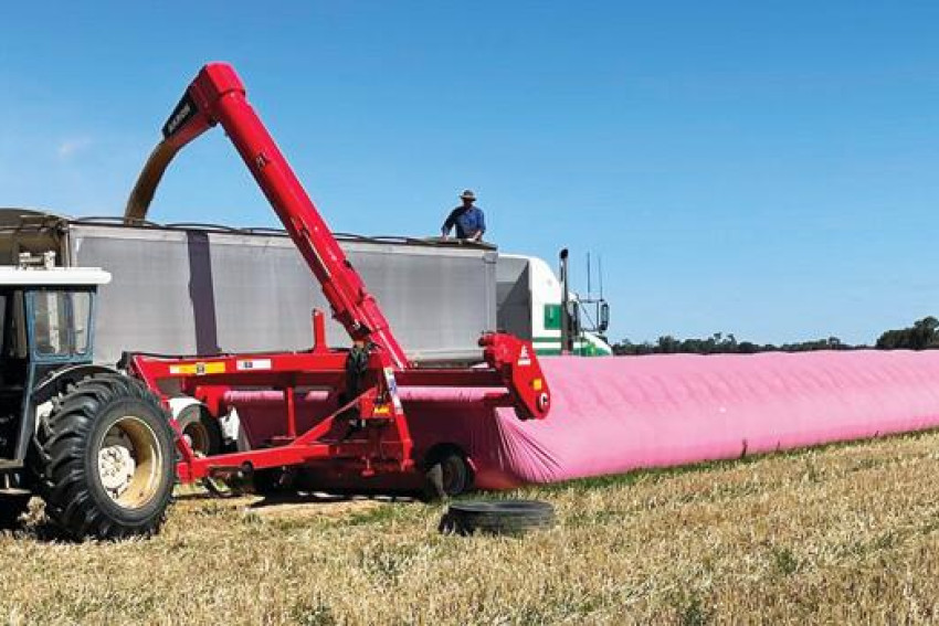 Good grain in classic pink - feature photo