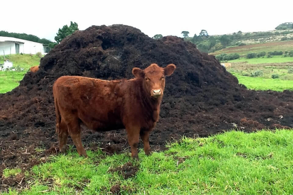 Manure fight spreads - feature photo
