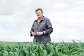 Workshop looks at risks - feature photo
