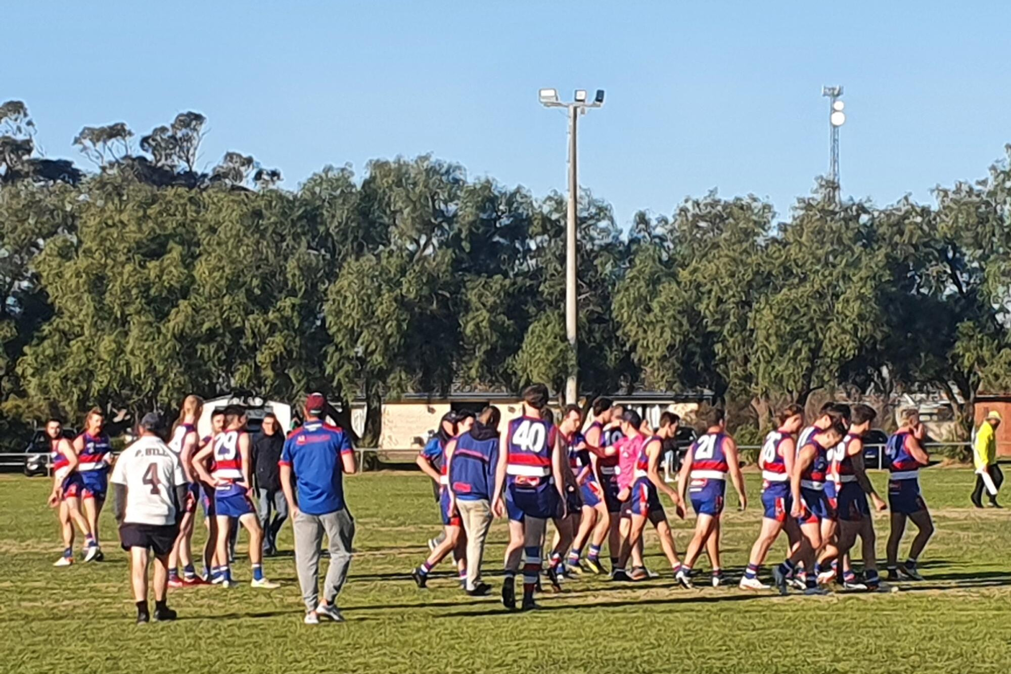 Big wins for Dogs, Panthers - feature photo
