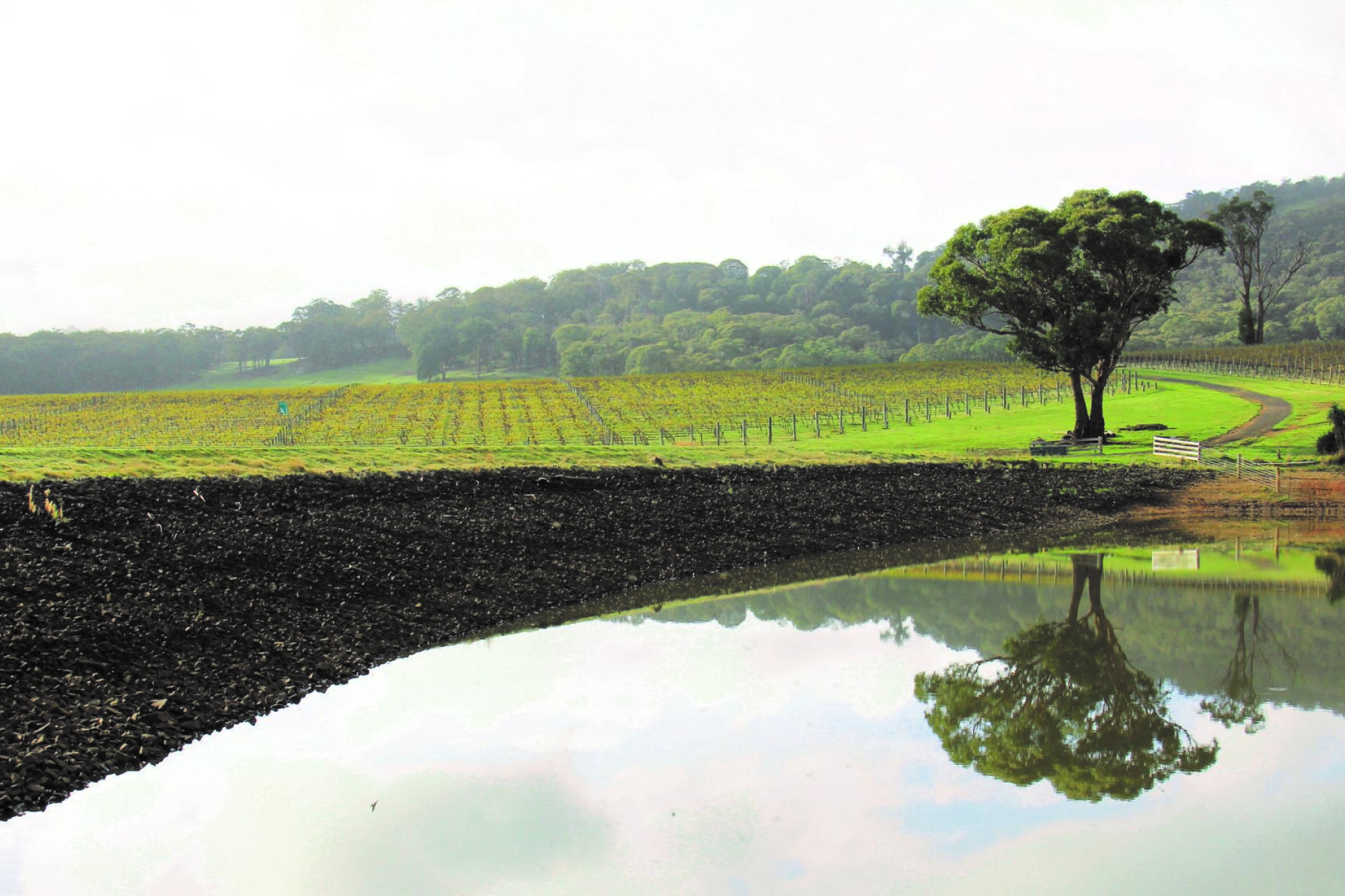 Dam owners prepare - feature photo