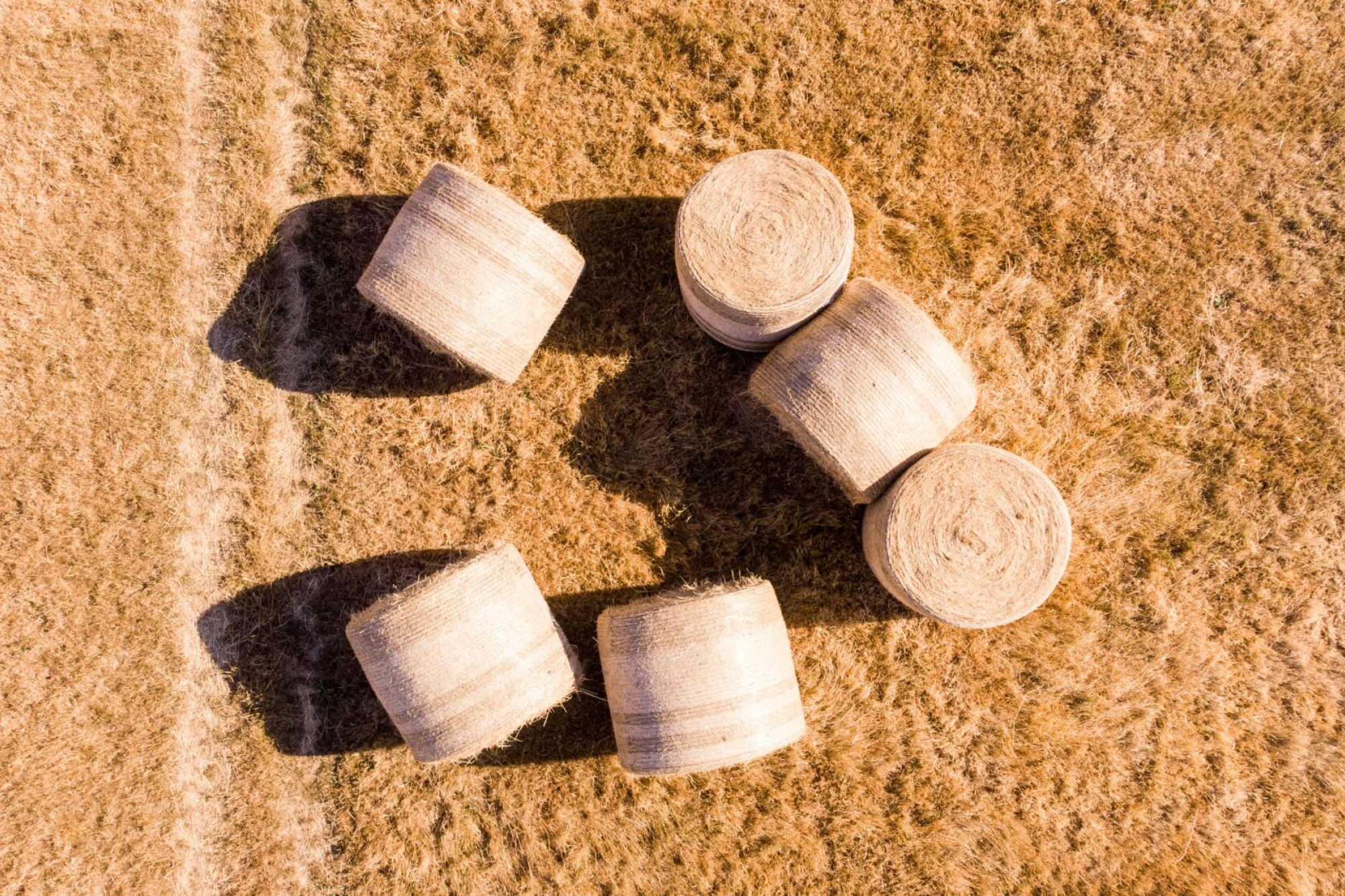 Positive outlook - feature photo