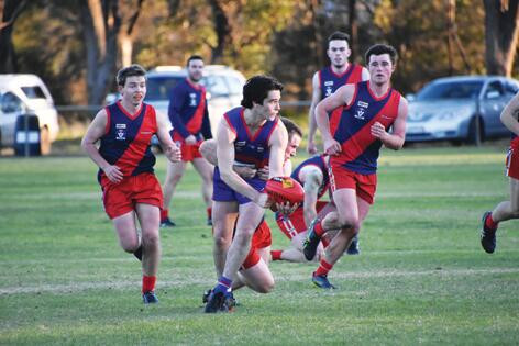 Bulldogs are primed - feature photo