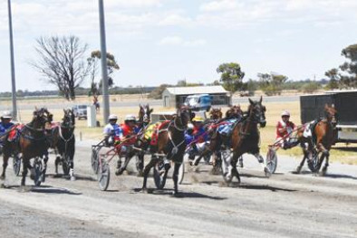 Trots meeting Monday - feature photo