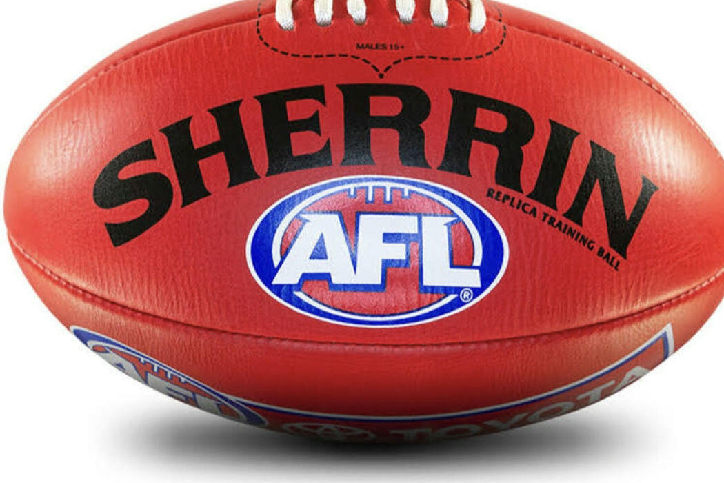 Dogs dampen Panthers - feature photo