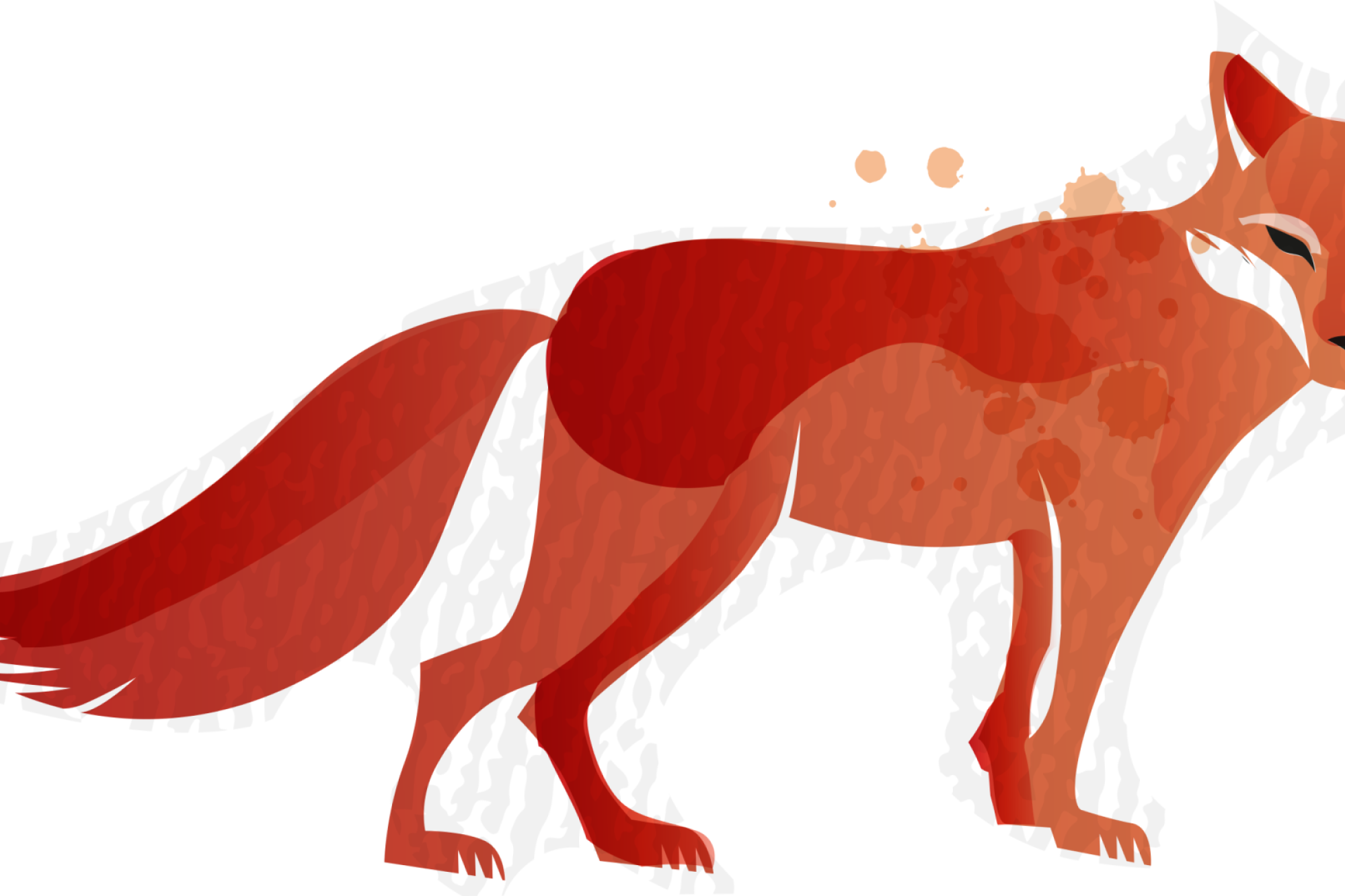 Fox bounty collections - feature photo