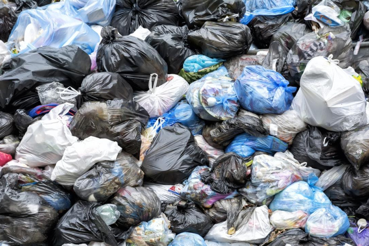 Bin collections tomorrow - feature photo