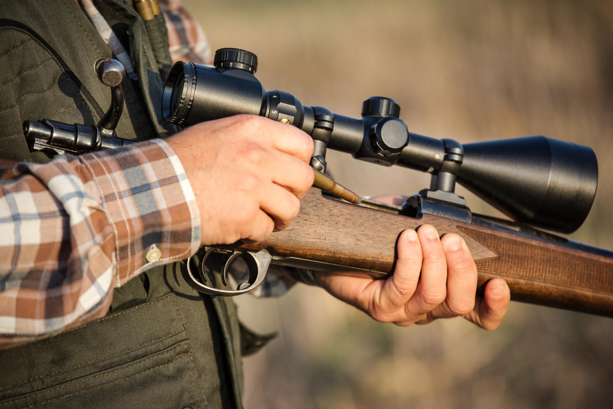 Duck season dates - feature photo