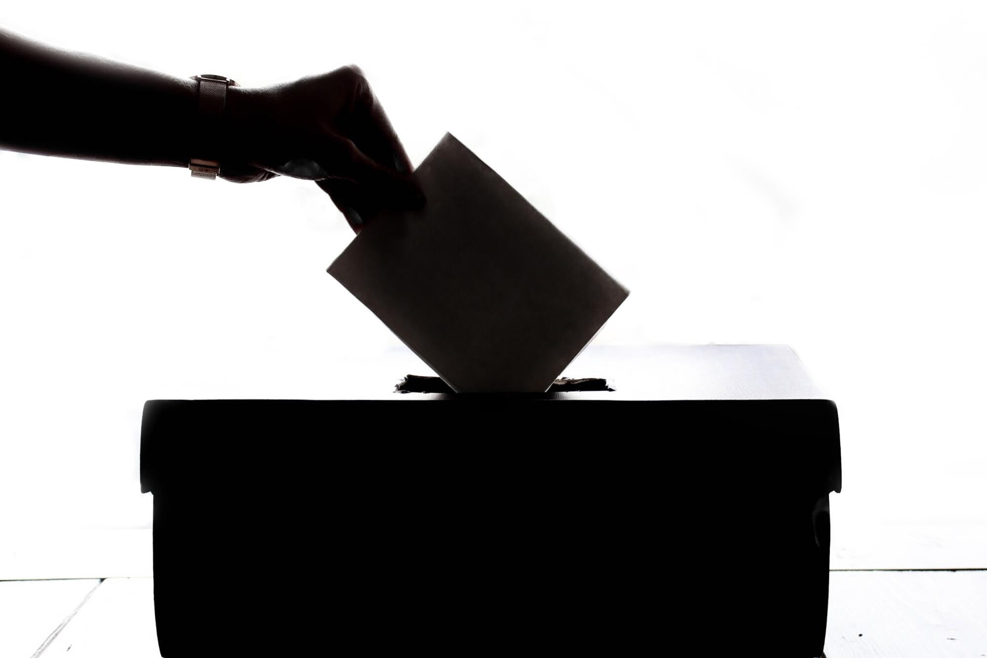 Still poll jobs - feature photo