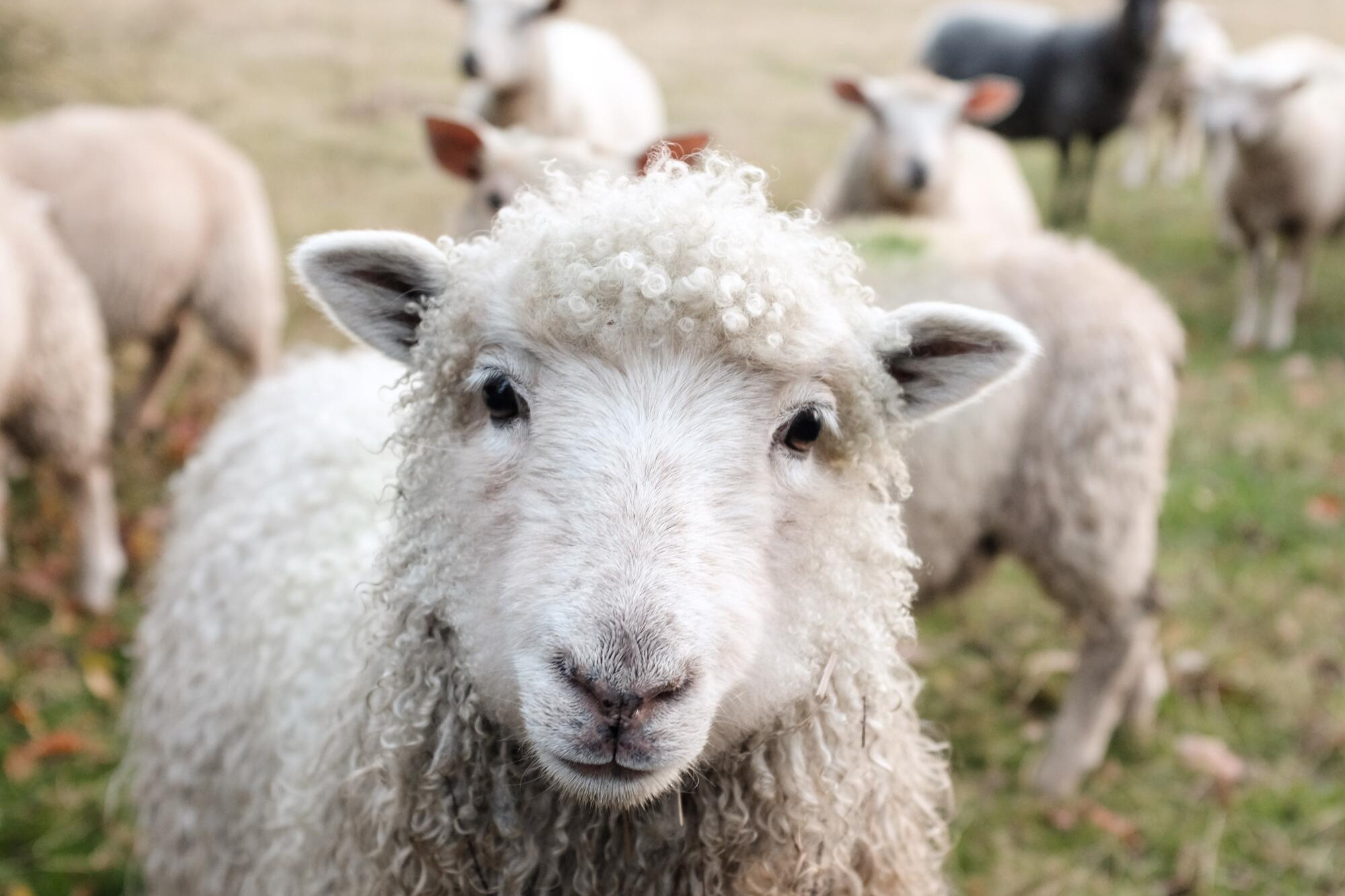 Farm safety push - feature photo