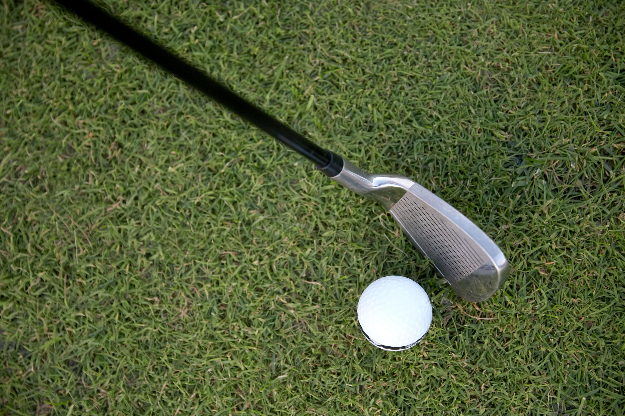 Isaac scoops pool - feature photo