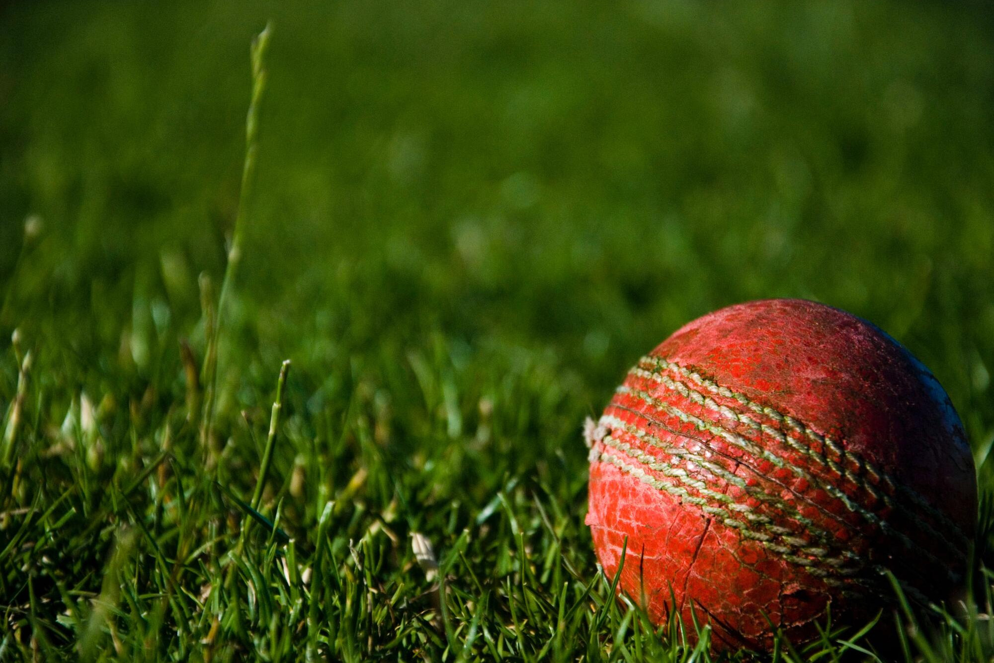 Junior cricket scoreboards 27 November - feature photo