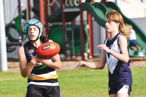 Rams are winners - feature photo