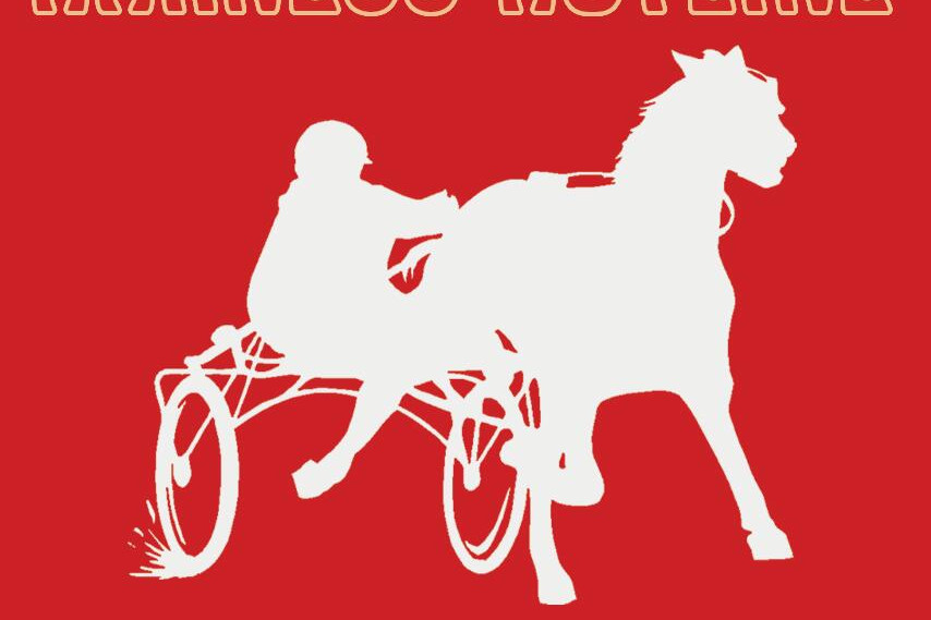 Latest in harness racing - feature photo