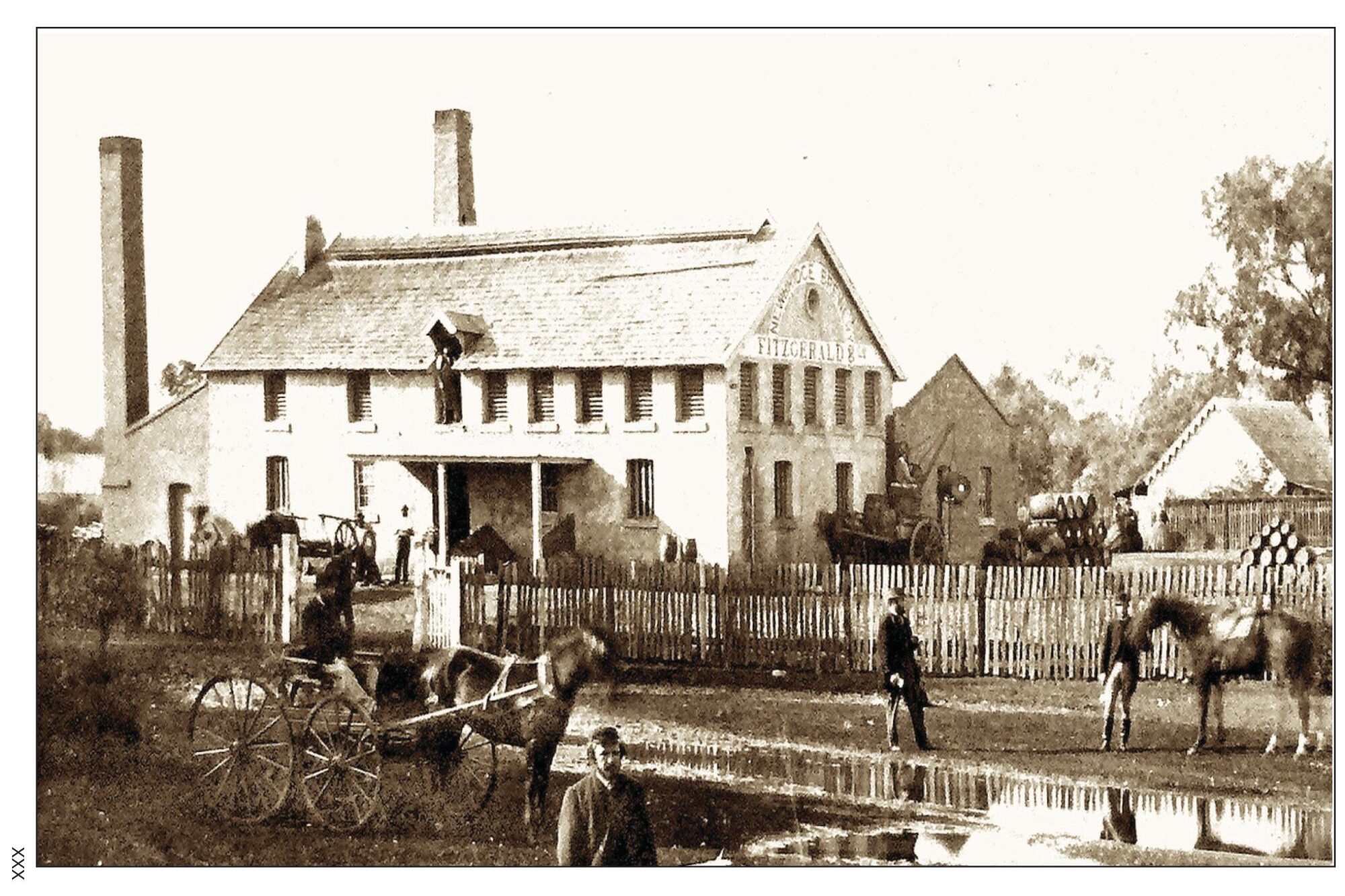 The rechabite beer - feature photo