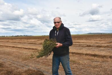 Hay cut and ... drying - feature photo