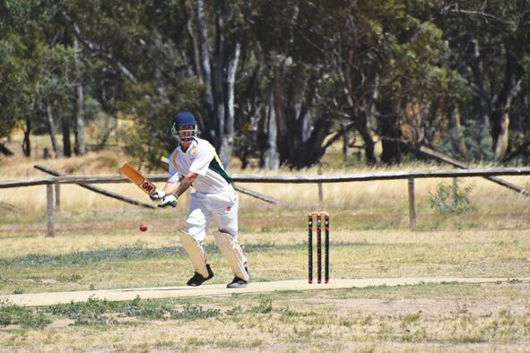 Can they bat? - feature photo