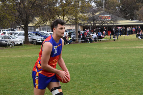 Ward Cup to Bears - feature photo
