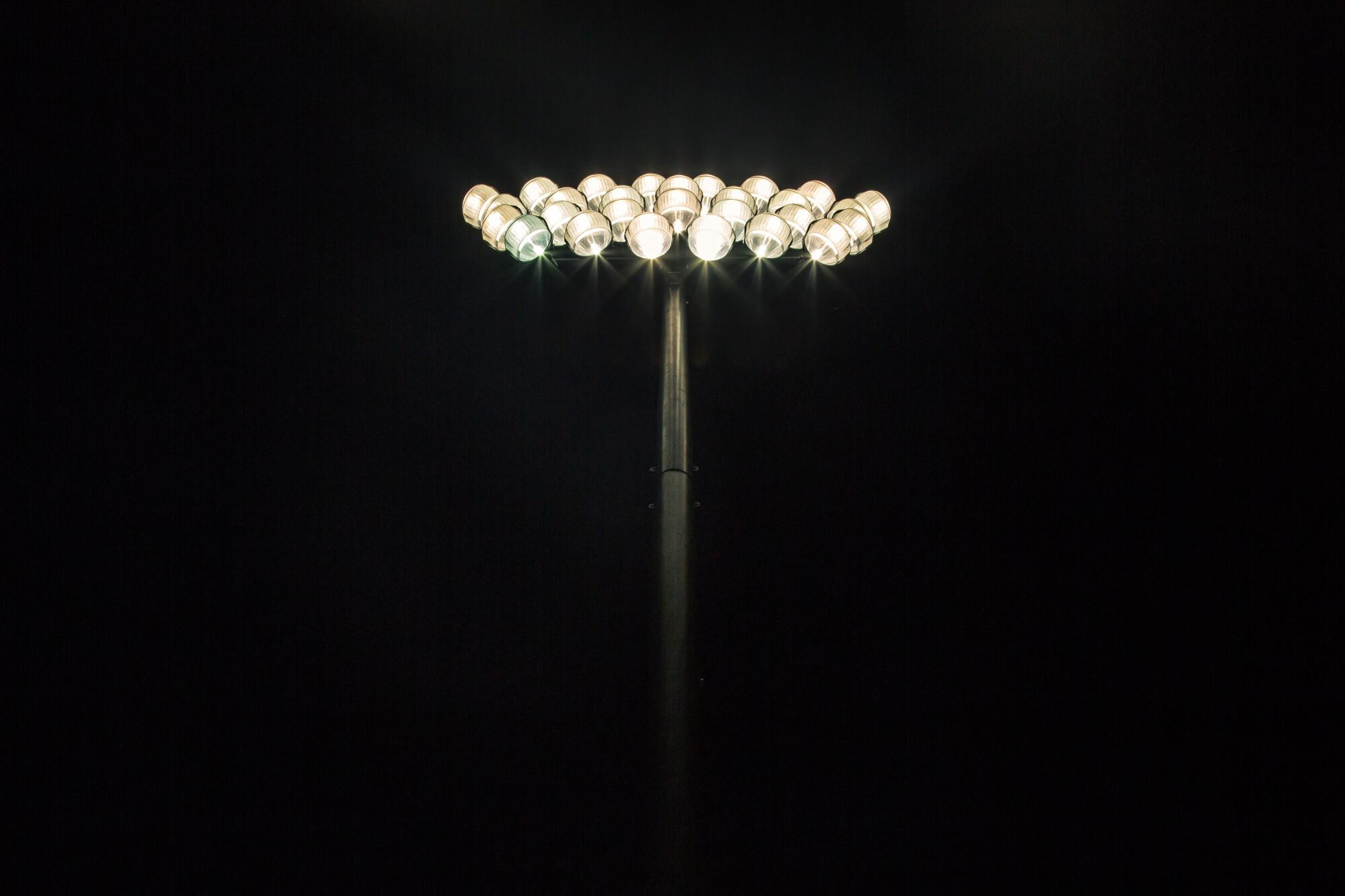 Lighting bid backed - feature photo