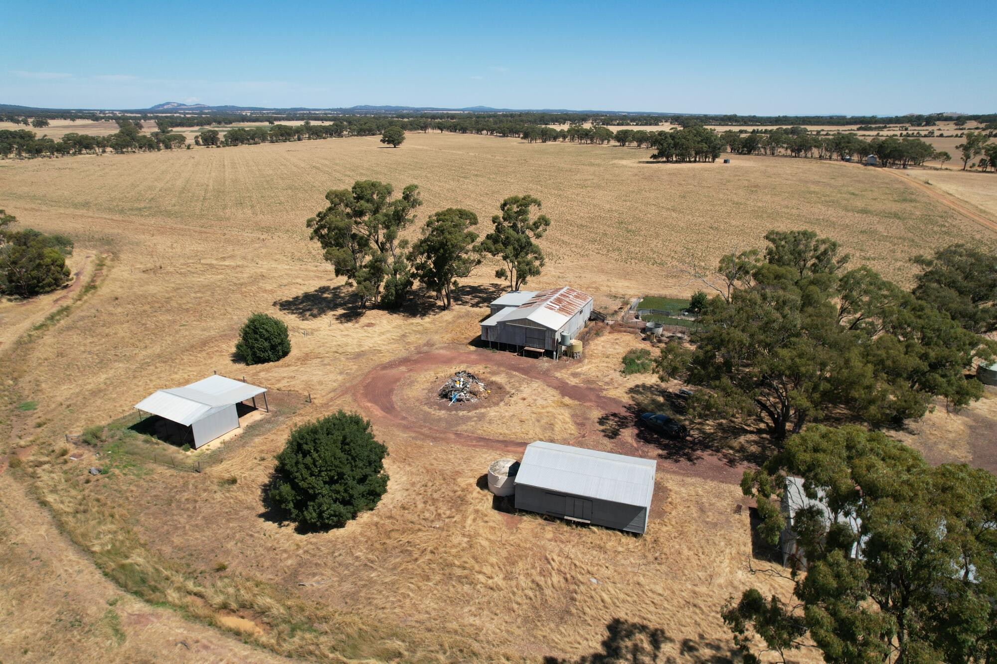 Farm auction today - feature photo