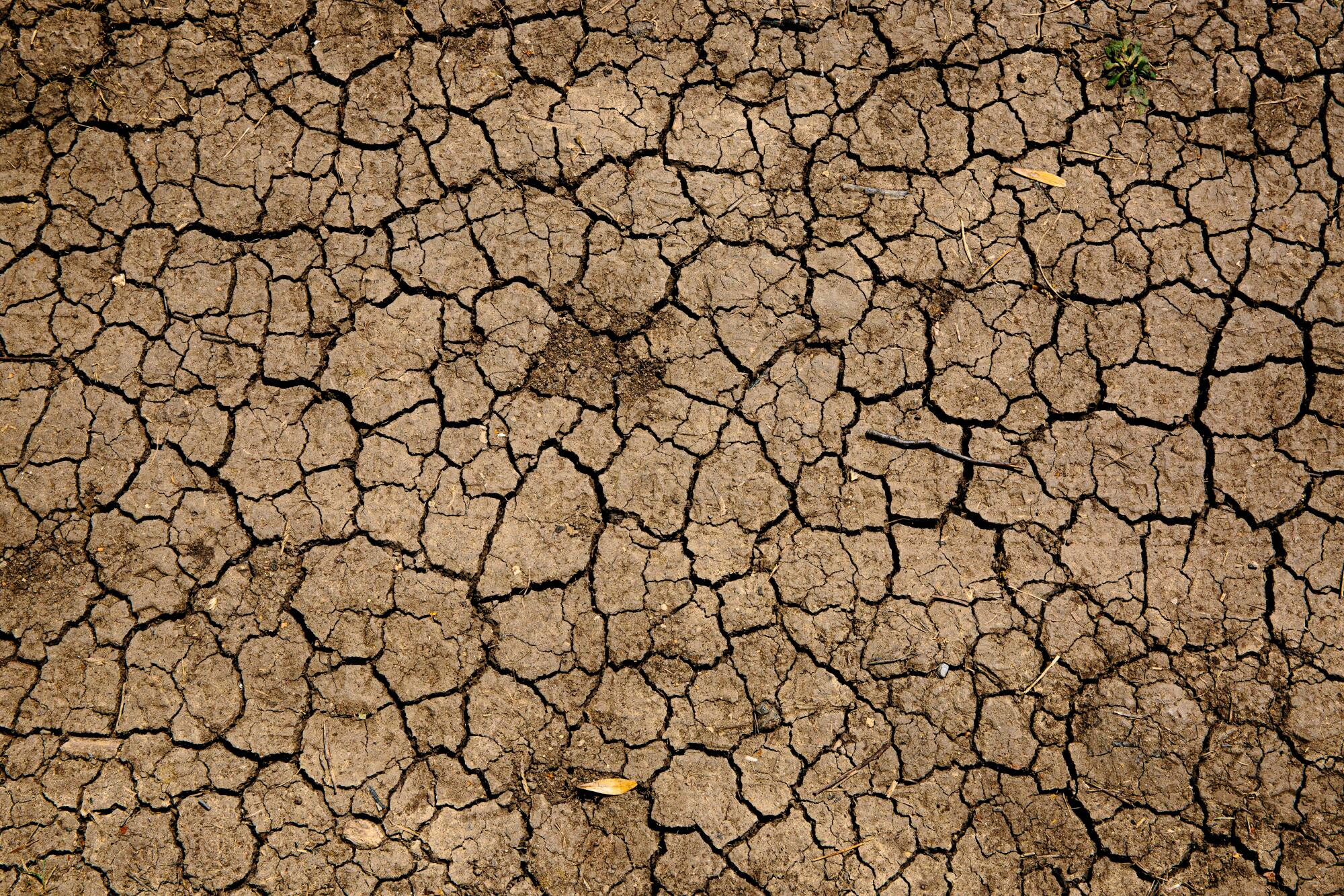 Drought Hub 'way forward' - feature photo
