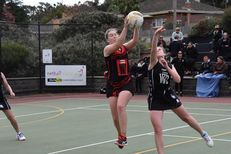 Redbacks are primed - feature photo