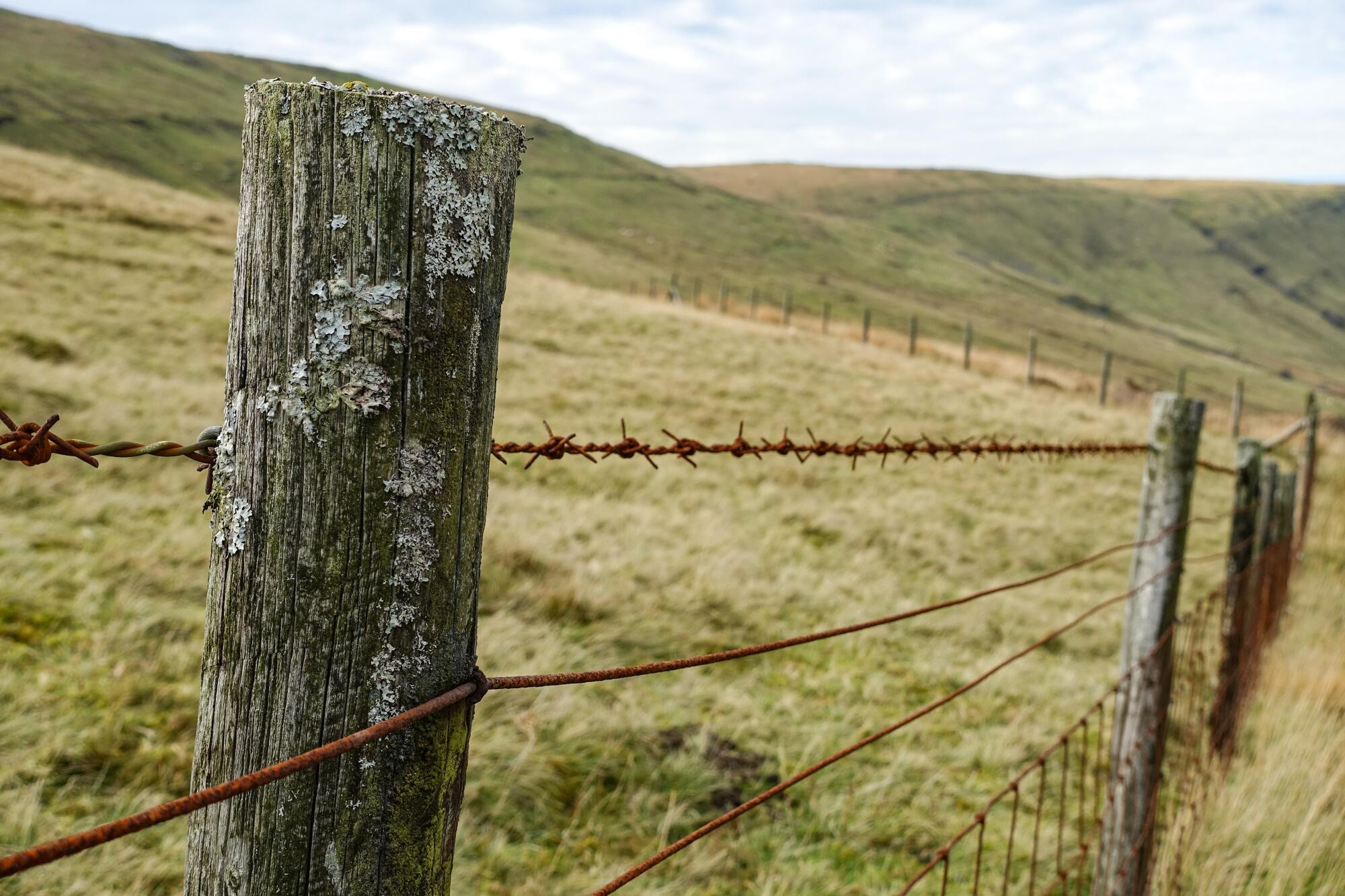 Over the Fence - feature photo