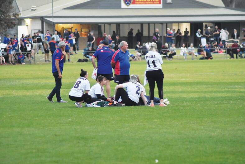 Top Dogs hurt - feature photo