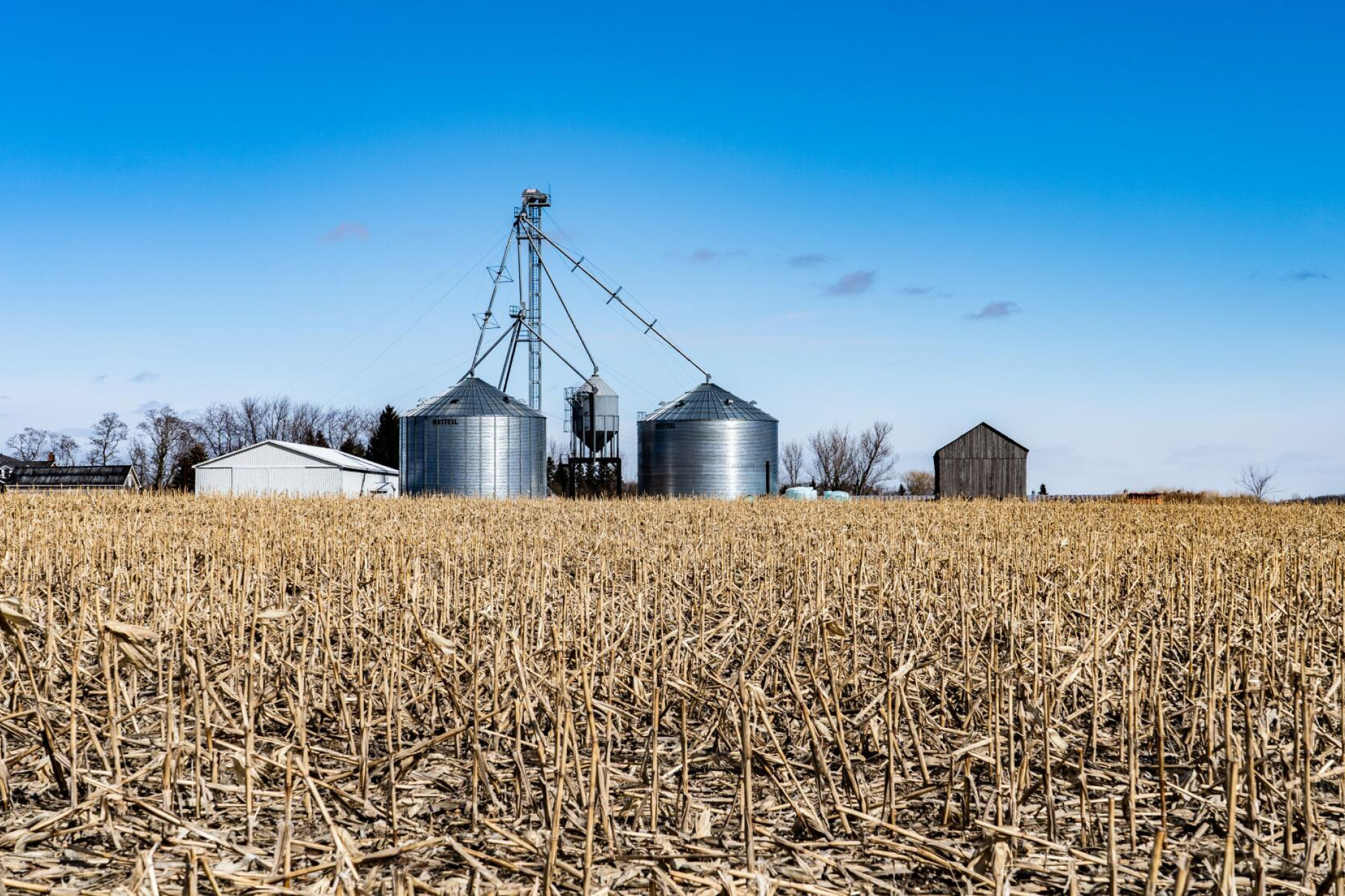 Have farms silo ready - feature photo
