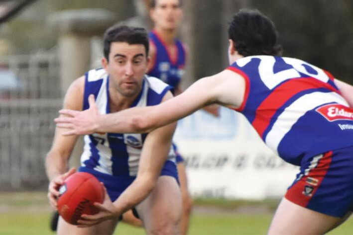 Stop, stop: Roos keep going - feature photo