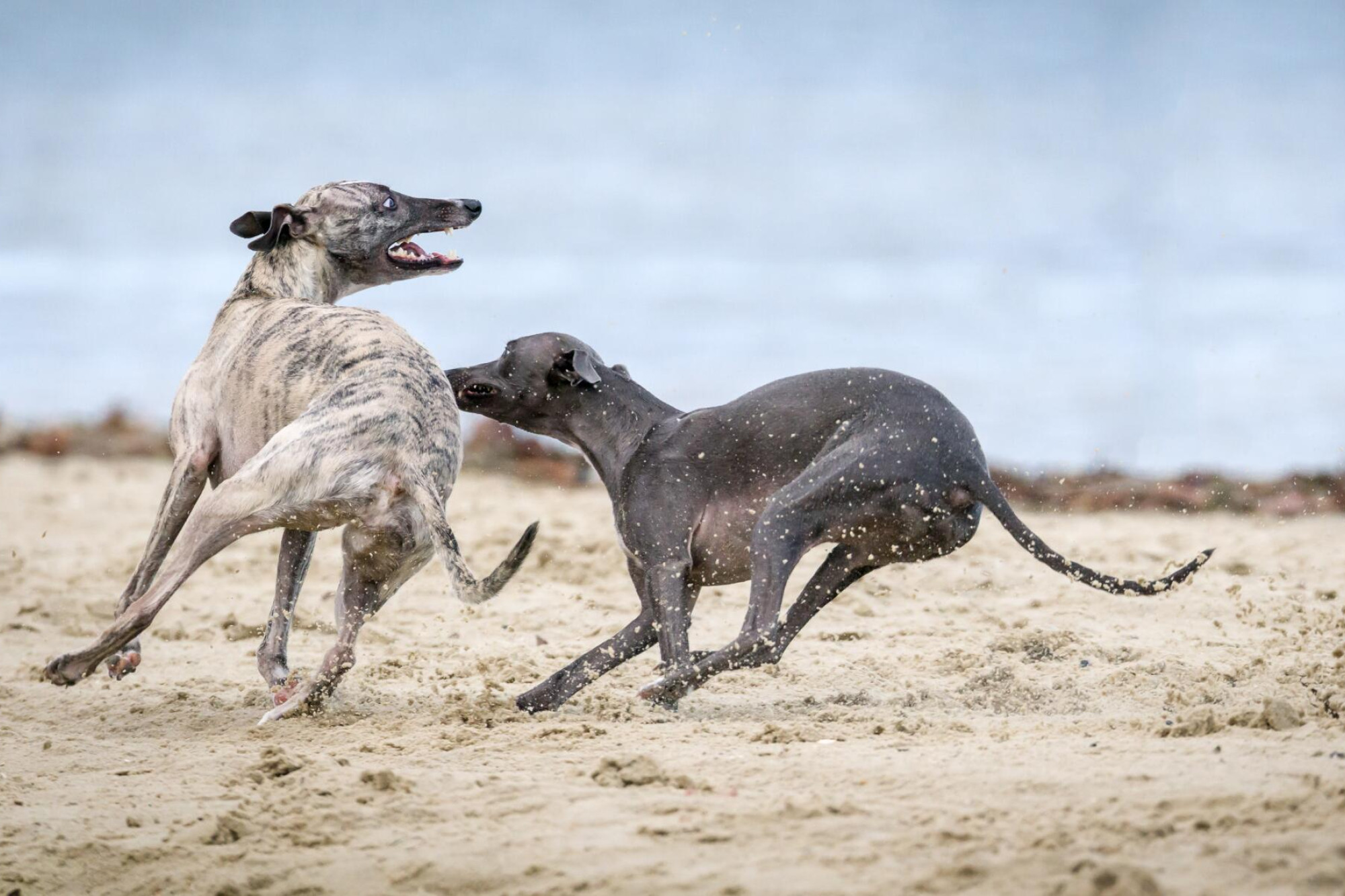 VCAT dismisses appeal - feature photo