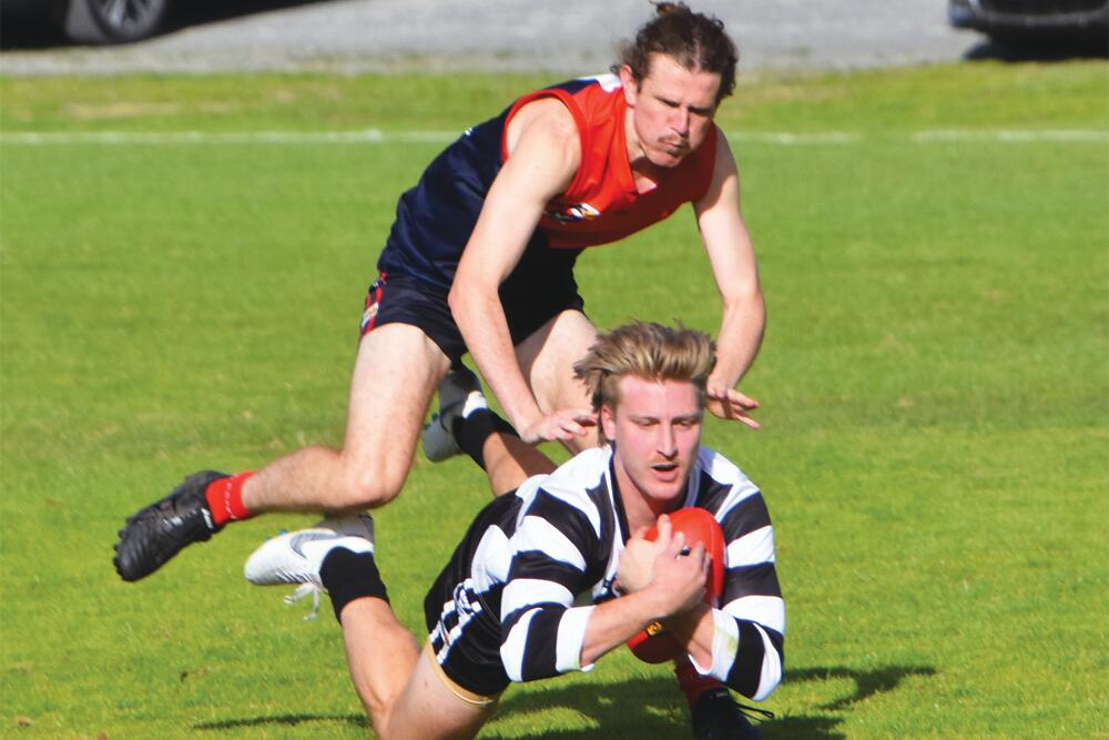 Tight ding dong on the cards - feature photo