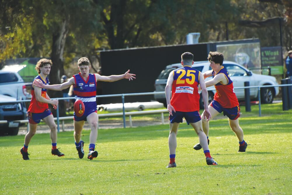 Nine teams way to go: Dogs - feature photo