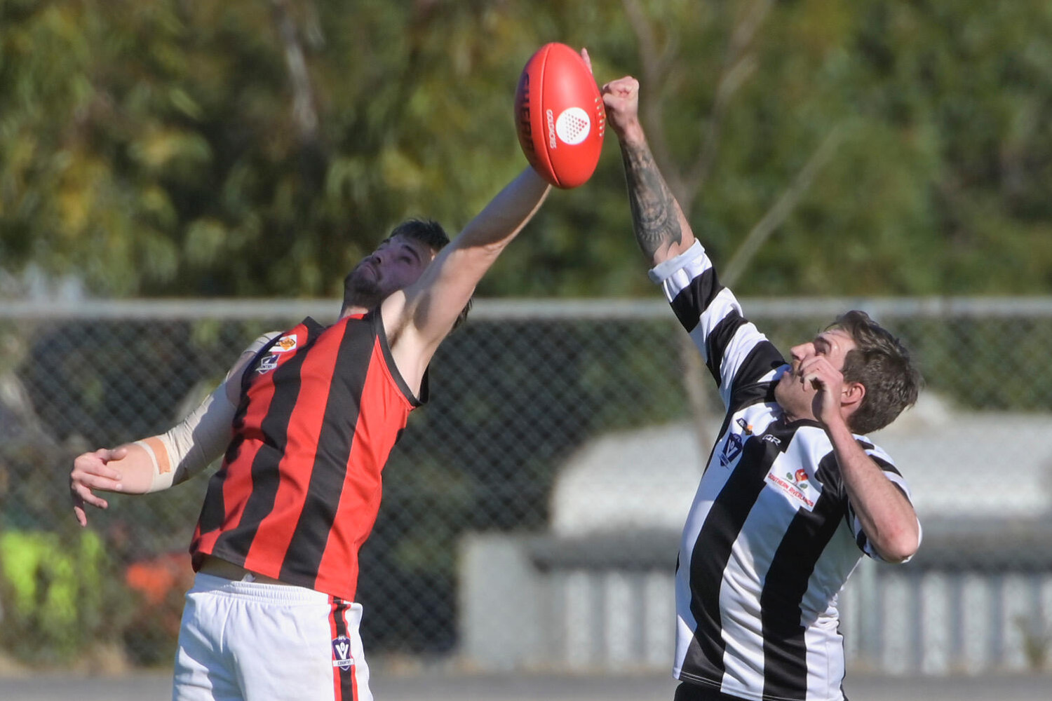 Redbacks take Loddon honours by two points - feature photo