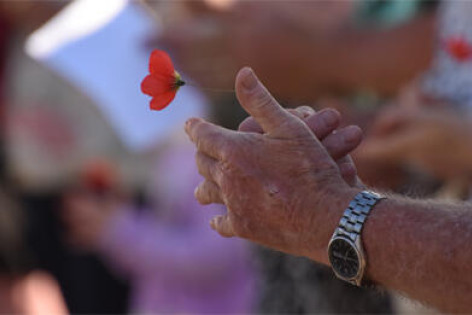 Remembrance Day services in communities this morning - feature photo