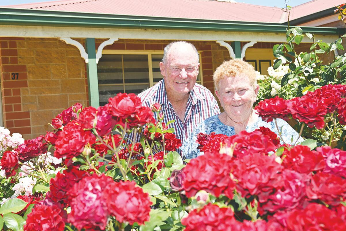 Roses and rockeries: a garden grows - feature photo