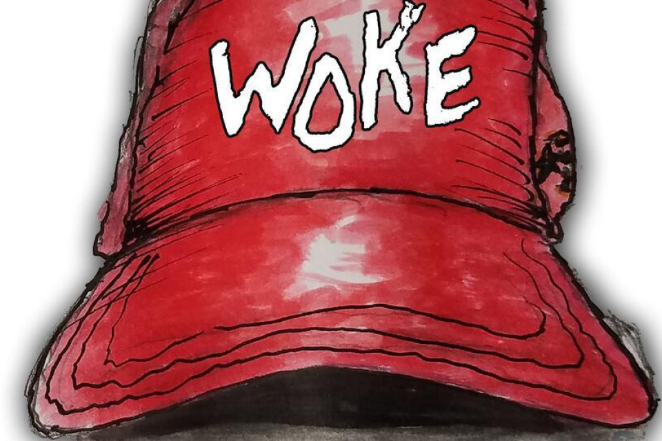 Our readers have their say on 'woke' declaration - feature photo